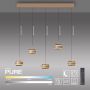 Paul Neuhaus PURE FALLING RINGS 2504-97 Hanglamp 5x8W/LED 2200-5000k 1500lm ip20