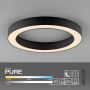 Paul Neuhaus PURE LINES ROUND 6310-13 Plafondlamp 1x21W/LED 2200-5000k 1600lm ip20
