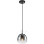Italux Antita PND-3650-1S-BK-CSG Hanglamp 1x40W/LED IP20