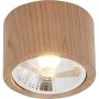 Zuma Line OAK 3010103 Opbouwspot 1x15W/GU10 Es111 IP20