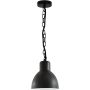 Polux ARNE 311924 Hanglamp 1x10W/E27 IP44