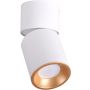 Polux NIXA 314260 Opbouwspot 1x10W/GU10 IP20