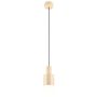 Trio AGUDO 319400144 Hanglamp 1x10w/e27 ip20