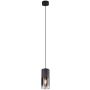 Trio ROBIN 310600132 Hanglamp 1x28w/e27 ip20