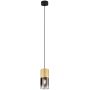 Trio ROBIN 310600154 Hanglamp 1x28w/e27 ip20