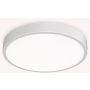Ideal Lux RAY 327693 Plafondlamp 1x44W/LED ip44