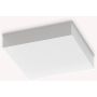 Ideal Lux SNOW 326245 Plafondlamp 1x18W/LED 4000K ip65