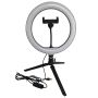 Polux SELFIE 327604 Bureau lamp 1x10W/LED 2700K-4000K-6000K 240lm IP20