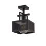 Sigma Lighting ALBERT 32178 Plafondlamp 1x60W/E27
