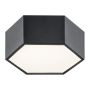 Argon ARIZONA 3824 Plafondlamp 1x9W/LED 3000K 1150LM IP20