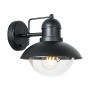 Prezent HECTOR 39036 Wandlamp 1x60W/E27 IP44