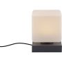 Paul Neuhaus DADOA 4036-13 Tafellamp 1x7W/LED 3000k 580lm ip20