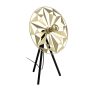 Eglo CASTANUELO 43808 Tafellamp 1x40W/E27 IP20