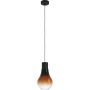 Eglo CHASELY 43459 Hanglamp 1X40W/E27 IP20