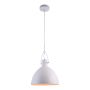 Prezent ANDROS II. 46301 Hanglamp 1x40W/E27 IP20