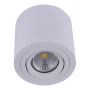 Prezent ALMAN I. 48606 Opbouwspot 1x50W/GU10 IP20