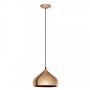 Eglo HAPTON 49449 Hanglamp 1x60W/E27