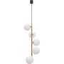 Zuma Line ALI 5648 Hanglamp 5x40W/G9 IP20