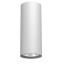Antigo Point 1251 Opbouwspot 1x10W/GU10 IP20