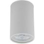 TK Lighting TOP 5766 Opbouwspot 1x10W/GU10 IP20