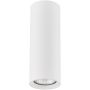 Alfa ARTEMIS 59024 Opbouwspot 1x10W/GU10