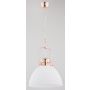 Alfa INEZ 60402 Hanglamp 1x15W/E27