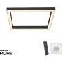 Paul Neuhaus PURE-LINES 6022-13 Plafondlamp 1x29W/LED 2700-5000k 2500lm ip20