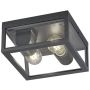 Trio GARONNE 601860242 Plafondlamp 2x10w/e27 ip44