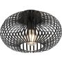 Trio JOHANN 606903032 Plafondlamp 1x60w/e27 ip20