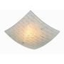 Trio SIGNA 602500101 Plafondlamp 1x40w/e27 ip20