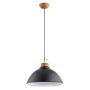 Alfa ALTI 61262 Hanglamp 1x15W/E27 IP20