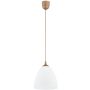 Alfa LERA 61465 Hanglamp 1x15W/E27