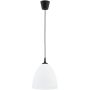 Alfa LERA 61466 Hanglamp 1x15W/E27