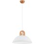 Alfa MIGOT 61379 Hanglamp 1x15W/E27