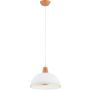 Alfa REY 61385 Hanglamp 1x15W/E27