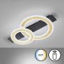 Fischer&Honsel Circle 21433 Plafondlamp 1x20W/LED 2700K 3100 lm IP20