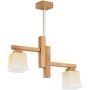 Alfa DILARA 62592 Plafondlamp 2x10W/E14