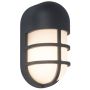Lutec BULLO 6383001118 Wandlamp 1x14.5w/led 3000K 1100lm ip54