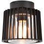 Lutec SHYNE 6397501012 Plafondlamp 1x25w/e27 ip54