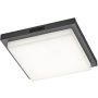 Trio BERMEJO 630369242 Plafondlamp 1x14w/led 2300+3000+4000k 1450lm ip54