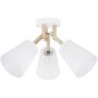 TK Lighting VAIO 665 Plafondlamp 3x60W/E27