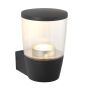 Endon CANILLO 67697 Wandlamp 3.5W/GU10 5000K 345LM IP44