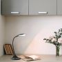 Fischer&Honsel Nil 50527 Bureau lamp 1x5.5W/LED 3000K 720 lm IP20
