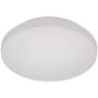 Prezent PARE GLASS FOR PILLS 67103,107,112,116 67103 NS Glazen kap