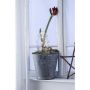 Markslojd GARDENER 703775 Staande decoratie 1x0,32W/LED