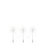 Markslojd ZOEY 705875 Buitenkerstdecoratie 279x3.6W/LED IP44