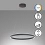 Fischer&Honsel Sirko 61048 Hanglamp 1x54W/LED 2700K 8500 lm IP20