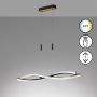 Fischer&Honsel Torcido 61018 Hanglamp 1x27W/LED 2700K 3200 lm IP20