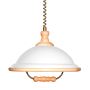Prezent ACRYL WOOD 73006 W50 Hanglamp 1x60W/E27 IP20