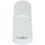 Zambelis CEILING SPOT S159 Opbouwspot 1x40w/GU10 IP20